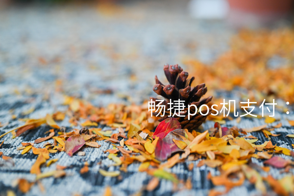 畅捷pos机支付：一张卡，支付无忧